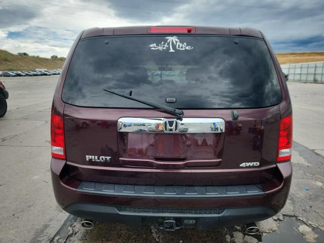 5FNYF4H51DB027157 - 2013 HONDA PILOT EXL 栗色 照片 6