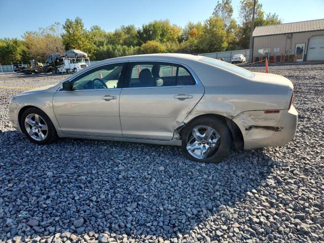 1G1ZC5EB7AF299452 - 2010 CHEVROLET MALIBU 1LT TAN photo 2