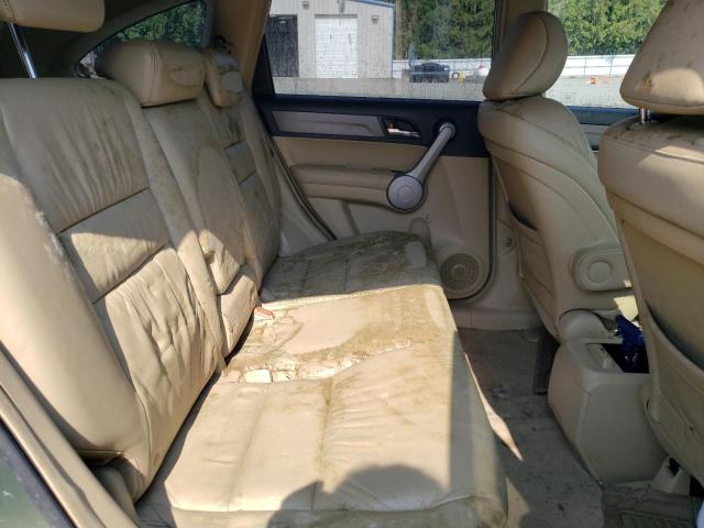 JHLRE38717C037923 - 2007 HONDA CR-V EXL GREEN photo 11