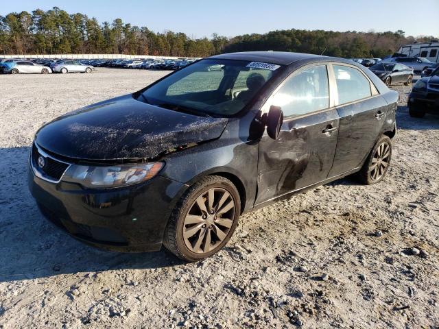 KNAFU4A25D5717120 - 2013 KIA FORTE EX BLACK photo 1