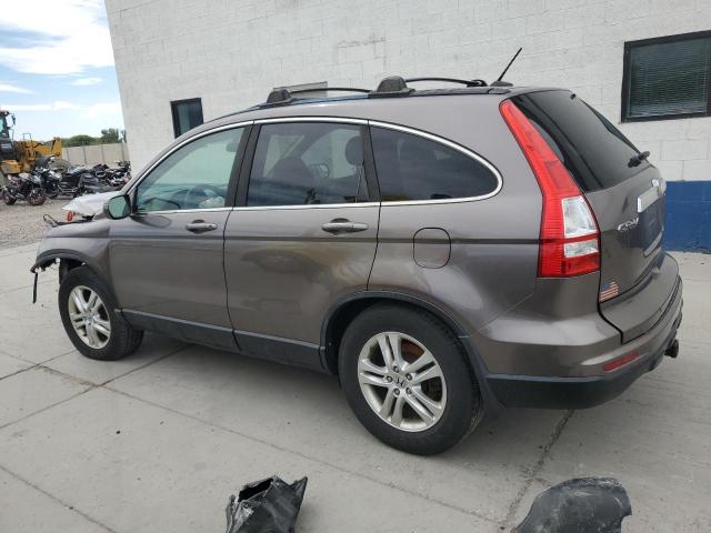 5J6RE4H71AL062552 - 2010 HONDA CR-V EXL GRAY photo 2