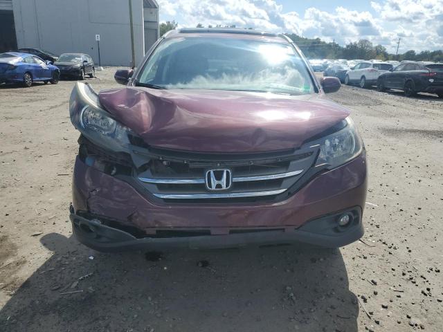 5J6RM4H74DL056168 - 2013 HONDA CR-V EXL 勃艮第红 照片 5