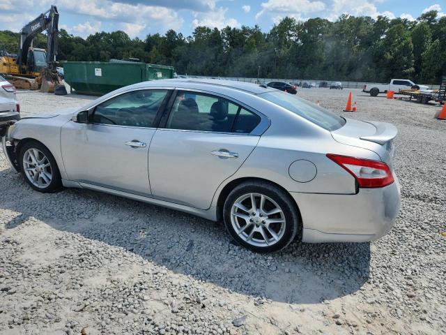 1N4AA5APXAC871973 - 2010 NISSAN MAXIMA S 银色 照片 2