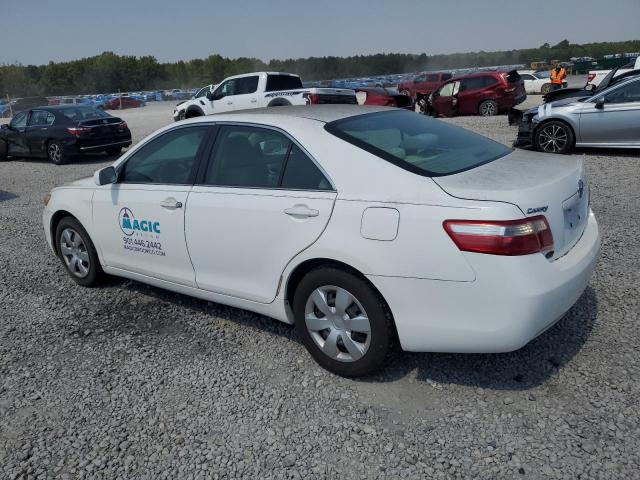 4T1BE46K09U910579 - 2009 TOYOTA CAMRY BASE 白色 照片 2