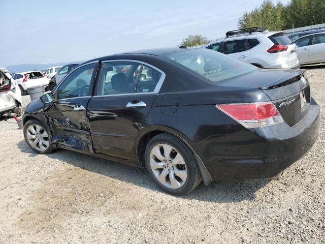 1HGCP36858A032084 - 2008 HONDA ACCORD EXL BLACK photo 2