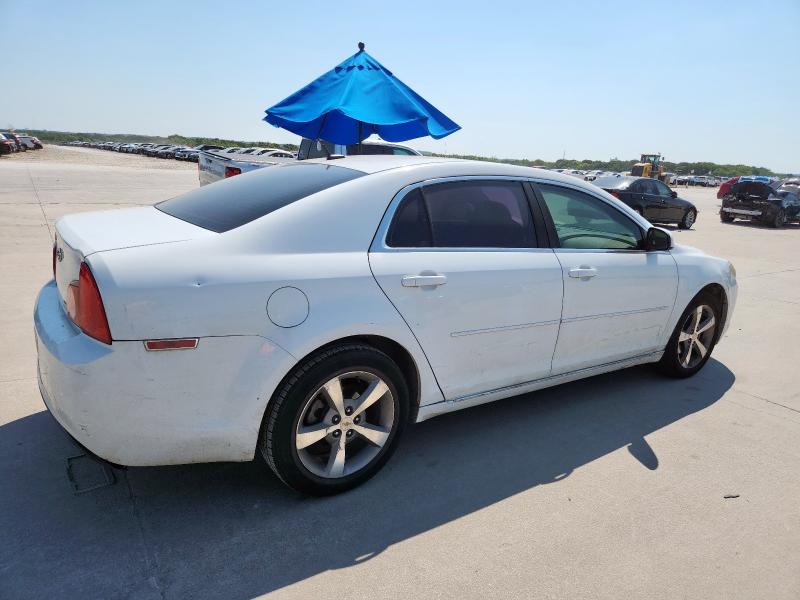 1G1ZC5EU6BF142482 - 2011 CHEVROLET MALIBU 1LT 白色 照片 3