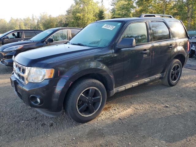 2010 FORD ESCAPE XLT, 