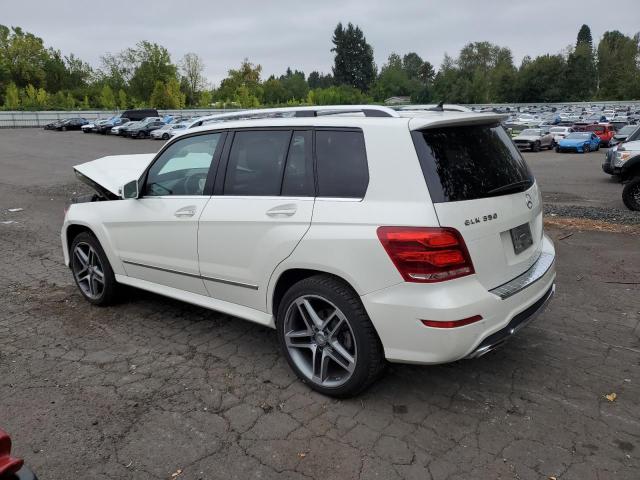WDCGG8JB0FG360551 - 2015 MERCEDES-BENZ GLK 350 4MATIC WHITE photo 2