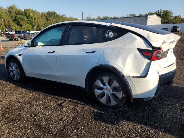 7SAYGDED6RF044698 - 2024 TESLA MODEL Y WHITE photo 2