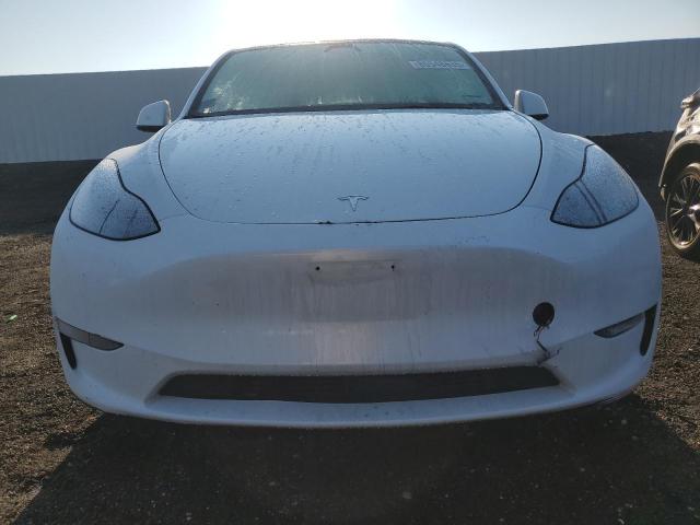 7SAYGDED6RF044698 - 2024 TESLA MODEL Y WHITE photo 5