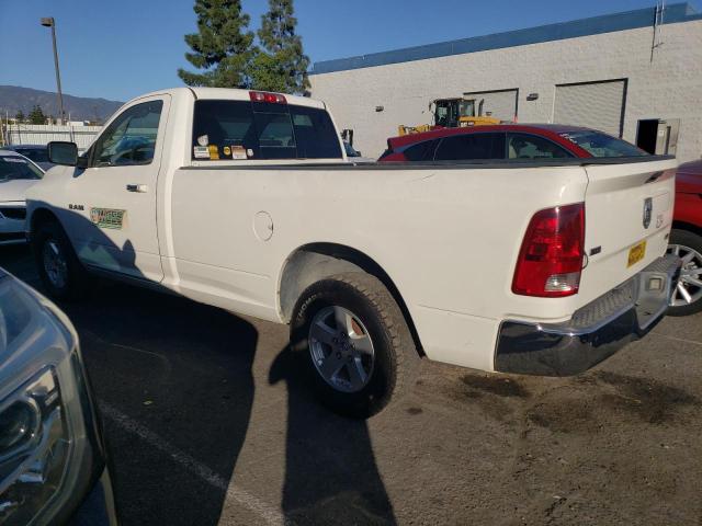 1D3HB16P49J516609 - 2009 DODGE RAM 1500 WHITE photo 2