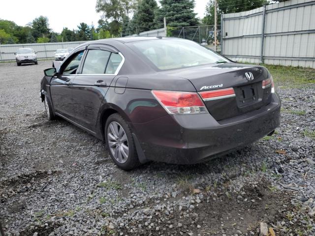 1HGCP2F82BA019052 - 2011 HONDA ACCORD EXL BROWN photo 3