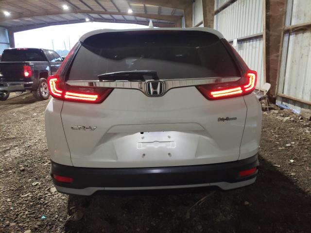 7FARW1H50LE019184 - 2020 HONDA CR-V EX WHITE photo 6