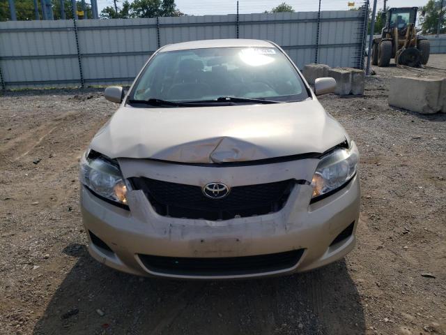 2T1BU4EE8AC461477 - 2010 TOYOTA COROLLA BASE Beżowy zdjęcie 5