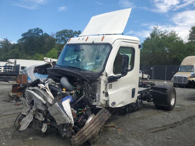 3AKBHSDV6NSNN8490 - 2022 FREIGHTLINER CASCADIA 1 WHITE photo 2