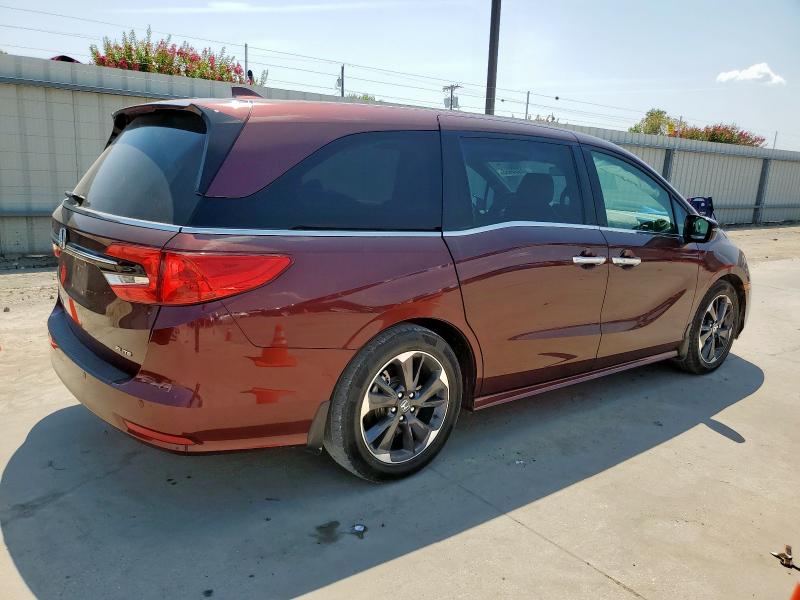 5FNRL6H95MB016304 - 2021 HONDA ODYSSEY ELITE 勃艮第红 照片 3