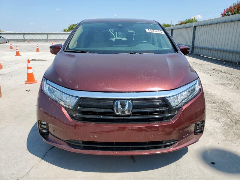 5FNRL6H95MB016304 - 2021 HONDA ODYSSEY ELITE 勃艮第红 照片 5