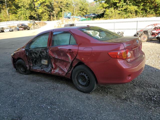 2T1BU4EE9AC247436 - 2010 TOYOTA COROLLA BASE RED photo 2