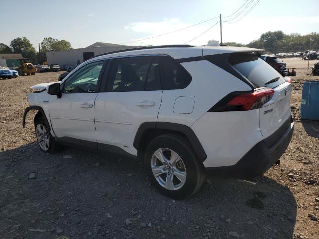 2T3MWRFV6KW032263 - 2019 TOYOTA RAV4 LE WHITE photo 2