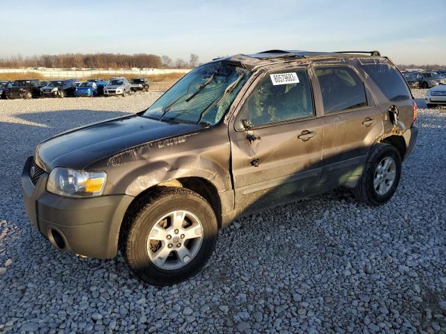 2007 FORD ESCAPE XLT, 