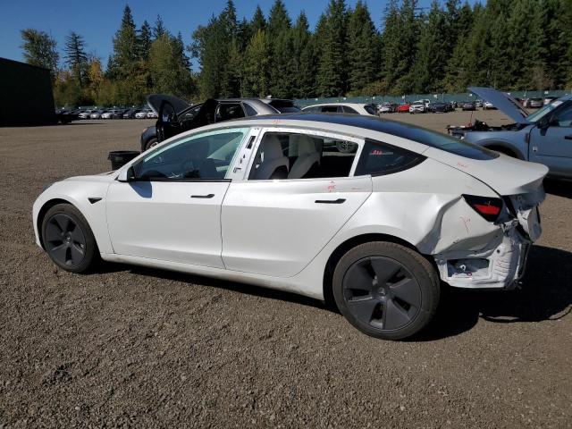 5YJ3E1EB1PF696698 - 2023 TESLA MODEL 3 أبيض صورة 2