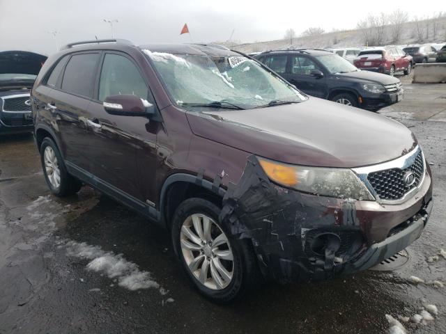 5XYKTDA29BG153397 - 2011 KIA SORENTO BASE BURGUNDY photo 4