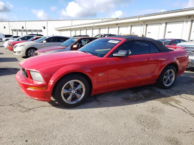 1ZVFT85H465239526 - 2006 FORD MUSTANG GT RED photo 1