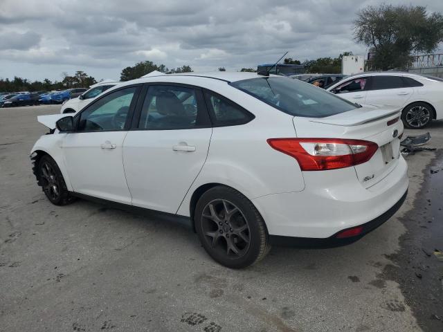 1FADP3F2XDL223289 - 2013 FORD FOCUS SE WHITE photo 2