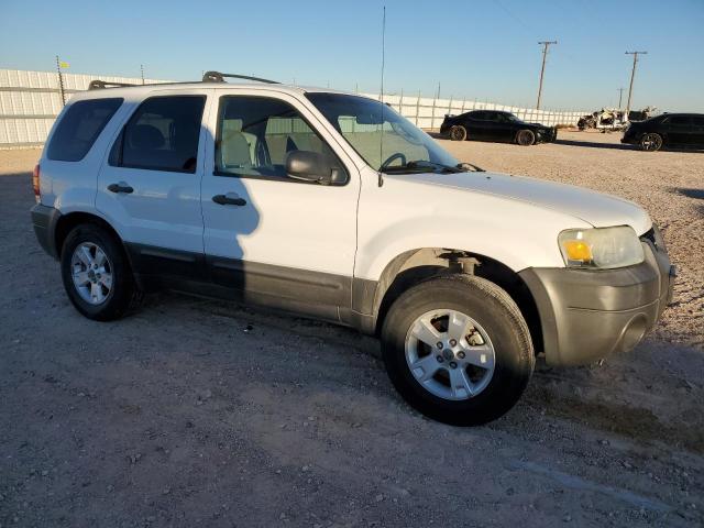 1FMYU93166KD34462 - 2006 FORD ESCAPE XLT WHITE photo 4