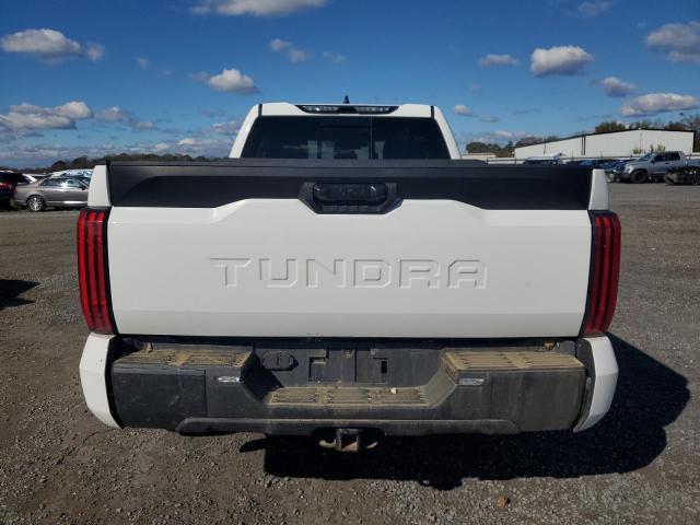 5TFKB5AA5PX021385 - 2023 TOYOTA TUNDRA DOUBLE CAB SR WHITE photo 6