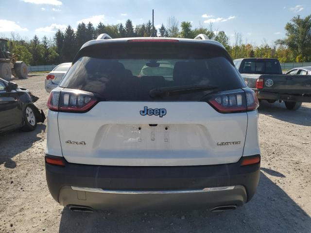 1C4PJMDX8KD484747 - 2019 JEEP CHEROKEE LIMITED WHITE photo 6