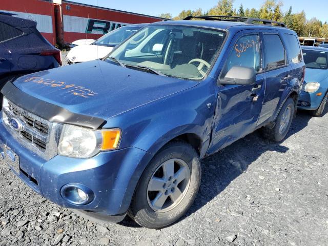 2010 FORD ESCAPE XLT, 