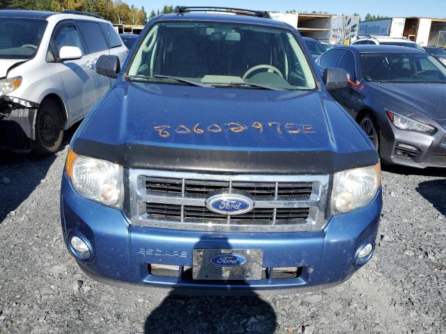 1FMCU9DG1AKA91195 - 2010 FORD ESCAPE XLT BLUE photo 5