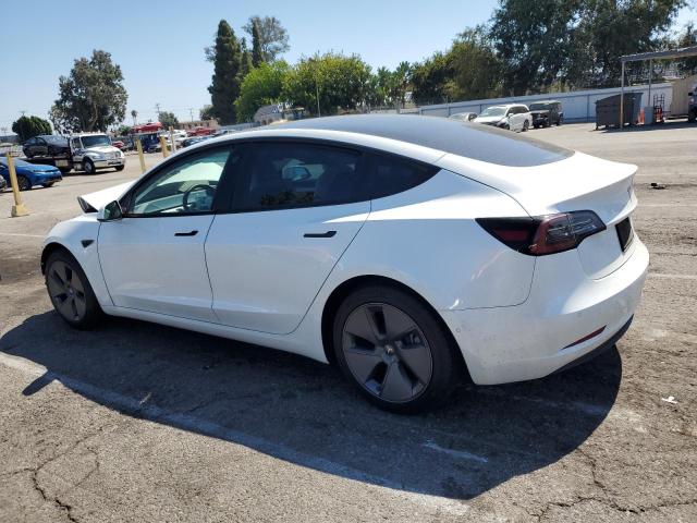 5YJ3E1EAXMF058873 - 2021 TESLA MODEL 3 Ağ foto 2