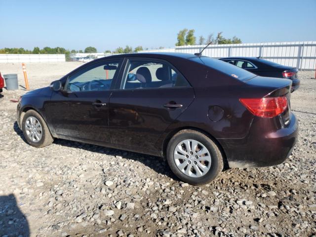 KNAFU4A22A5098049 - 2010 KIA FORTE EX 勃艮第红 照片 2