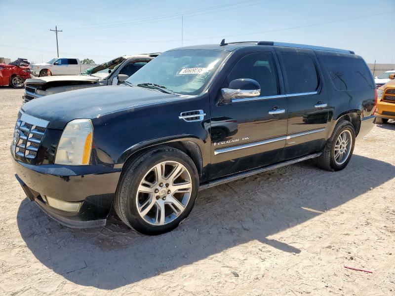2009 CADILLAC ESCALADE ESV LUXURY, 