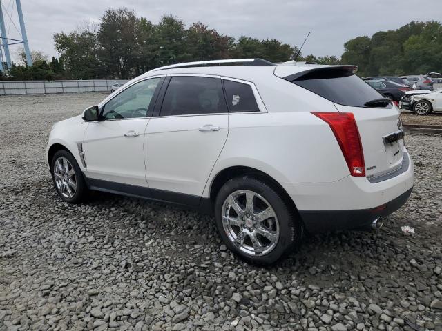3GYFNCEY9BS508100 - 2011 CADILLAC SRX PREMIUM COLLECTION თეთრი ფოტო 2