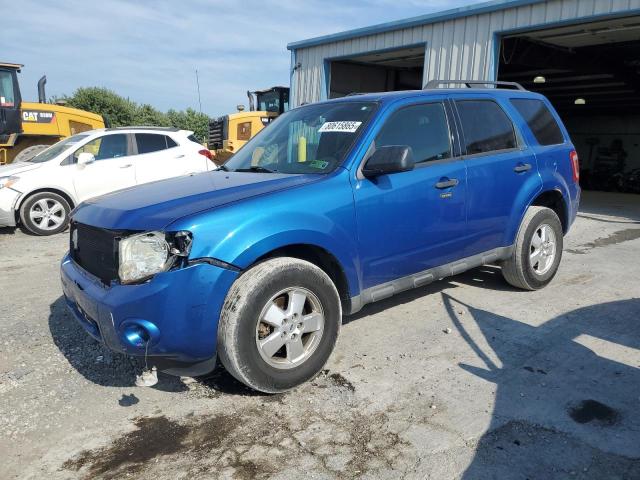 2011 FORD ESCAPE XLT, 