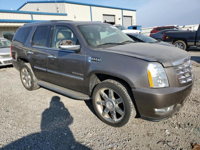 1GYS4BEF9BR161736 - 2011 CADILLAC ESCALADE LUXURY GRAY photo 4