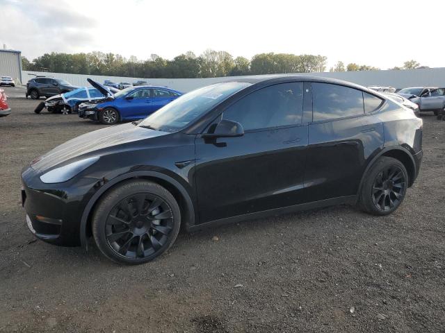 2023 TESLA MODEL Y, 