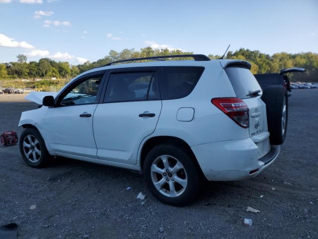 JTMBF4DV6AD034913 - 2010 TOYOTA RAV4 თეთრი ფოტო 2