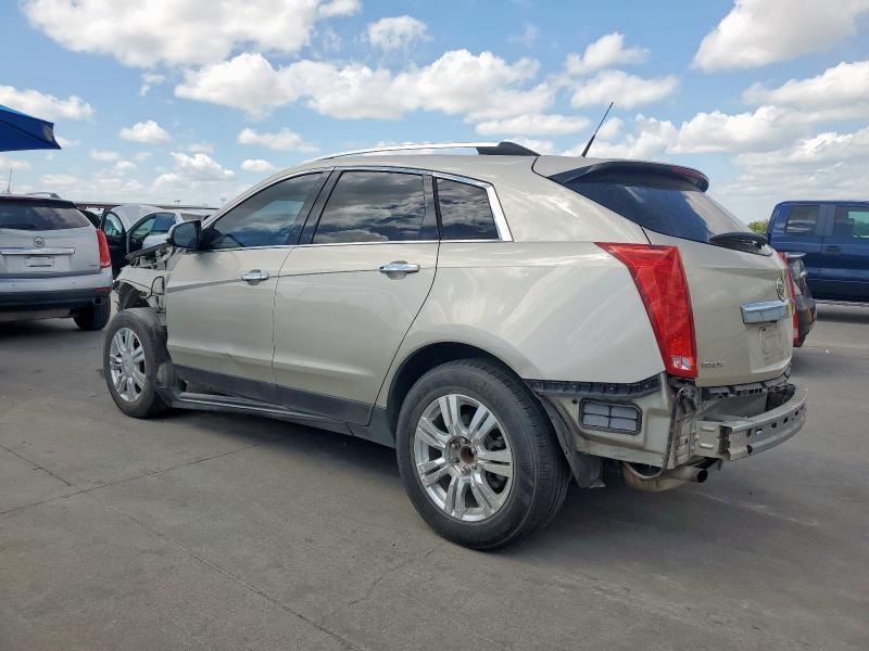 3GYFNCE31ES579476 - 2014 CADILLAC SRX PERFORMANCE COLLECTION Ոսկեգույն լուսանկար 2