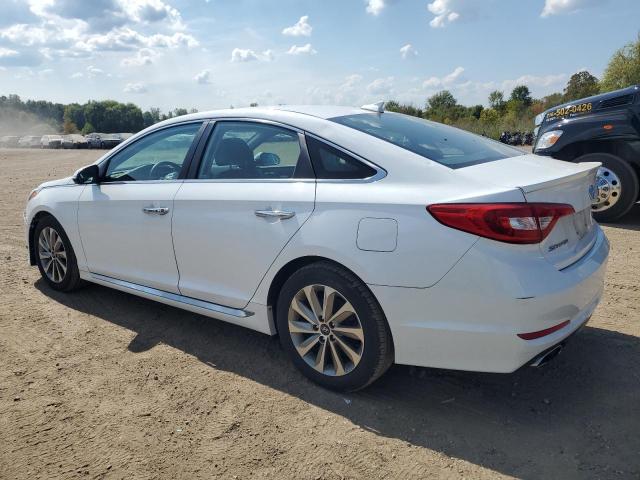 5NPE34AF0GH341807 - 2016 HYUNDAI SONATA SPORT WHITE photo 2