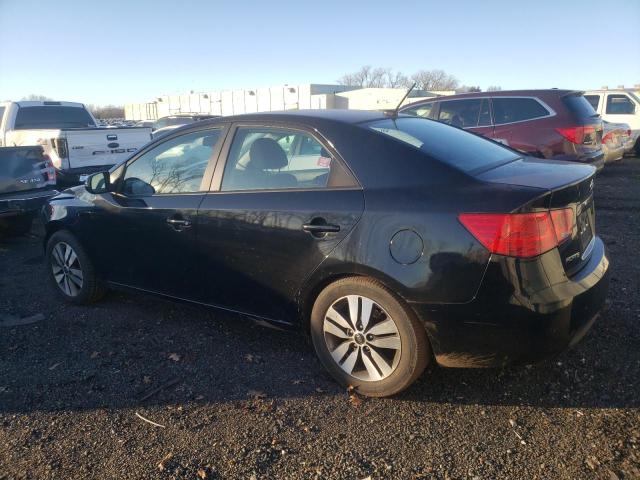 KNAFU4A29D5710204 - 2013 KIA FORTE EX BLACK photo 2