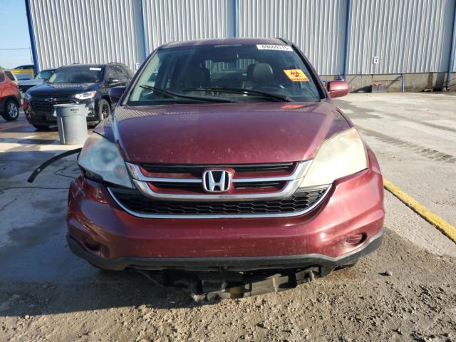 5J6RE4H75BL075774 - 2011 HONDA CR-V EXL MAROON photo 5