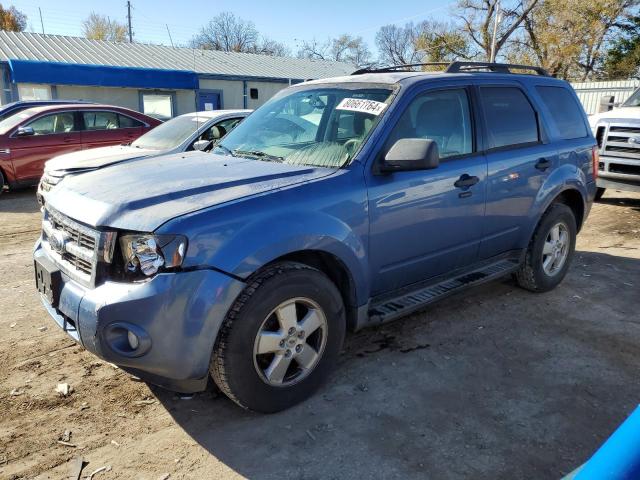 2009 FORD ESCAPE XLT, 