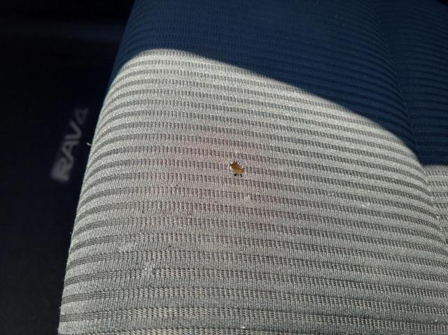 2T3BFREV6EW155140 - 2014 TOYOTA RAV4 LE RED photo 11