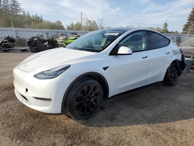 2021 TESLA MODEL Y, 