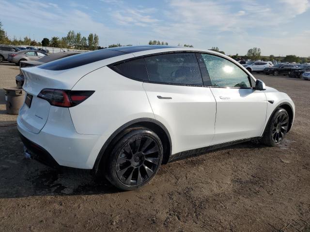 5YJYGDEE5MF067517 - 2021 TESLA MODEL Y WHITE photo 3