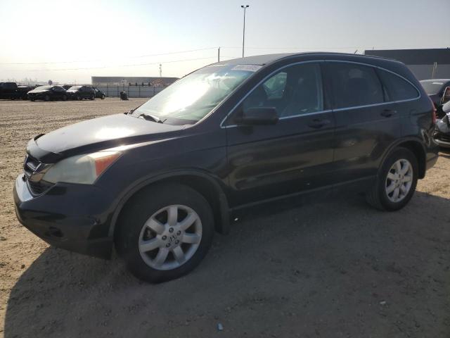 2010 HONDA CR-V LX, 